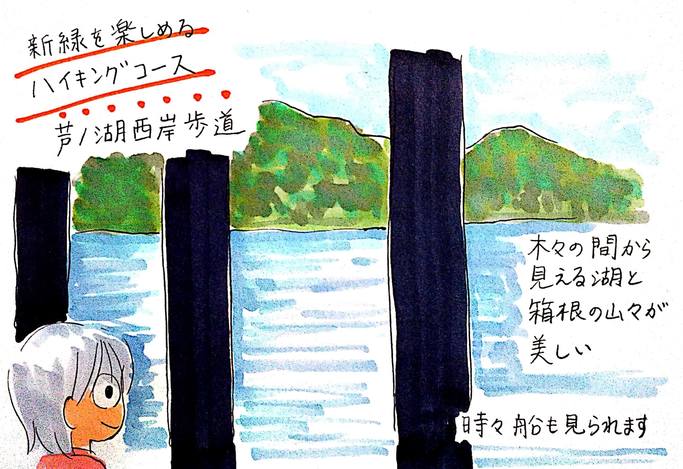 新緑を楽しめる芦ノ湖西岸歩道