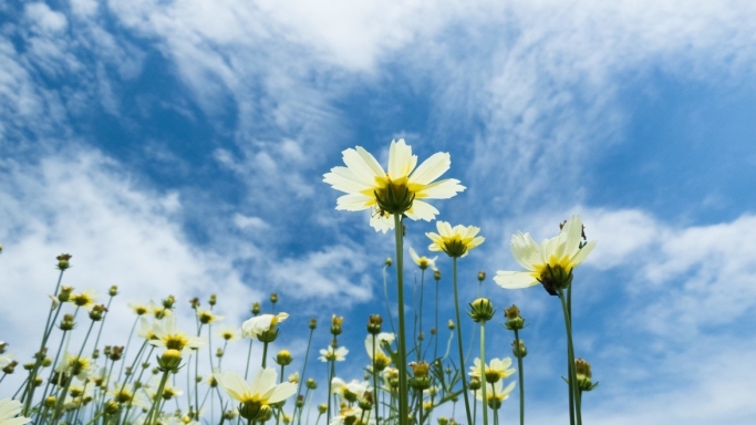 瞬時にリラックス！圧倒的癒し効果の○○