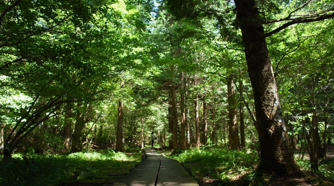 7999119160 25e9808566 ores