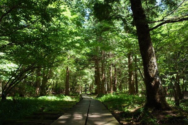 7999119160 25e9808566 ores