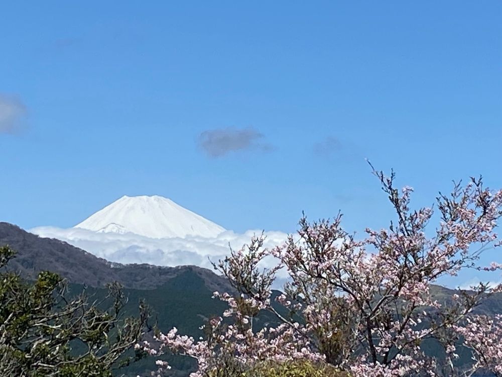 高田202509302富士山.jpg